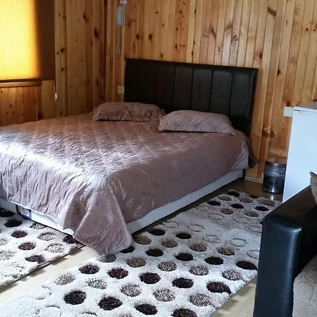 Prázdninový dům Varlibas Uyku Sarayi